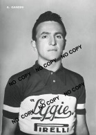 PHOTO CYCLISME REENFORCE GRAND QUALITÉ ( NO CARTE ) A. GANDINI TEAM LYGIE 1953 - Ciclismo