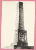 A197 CPSM  DARNEY  (Vosges)  Monument De L'Indépendance Franco-Tchécoslovaque - Détruit En Novembre 40 Par Les Allemands - Darney