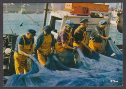 104758/ Pêche En Mer, Préparation Des Filets - Pesca