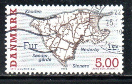 DANEMARK DANMARK DENMARK DANIMARCA 1995 DANISH ISLANDS FUR 5k USED USATO OBLITERE' - Used Stamps