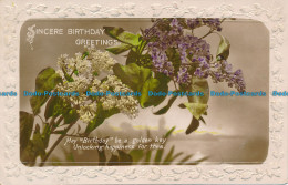 R109203 Sincere Birthday Greetings. Lilac. RP. 1925 - Welt