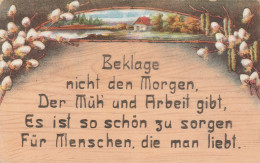 TH3619   --   BEKLAGE NICHT .........   SPRUCHKARTE  --  SAYING CARD   --  1919 - Andere & Zonder Classificatie