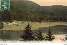 D88  GERARDMER  Vue Sur Le Lac De Retournemer  ..... - Gerardmer