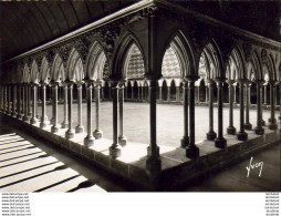 D50  LE MONT SAINT MICHEL   Abbaye - Galerie Du Cloître - Le Mont Saint Michel