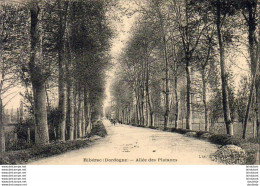 D24  RIBÉRAC  Allée Des Platanes - Riberac