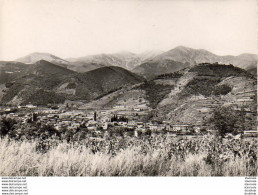 D66  ARLES SUR TECH  Vue Générale- Au Centre En Arrière Plan Le Massif Du Canigou - Other & Unclassified