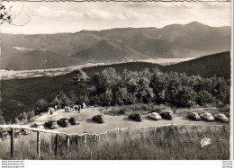 D68  TROIS ÉPIS  Vue Sur La Plaine - Trois-Epis