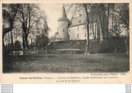 D86  USSON DU POITOU  Château De Busseroux - Other & Unclassified