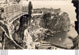 MONACO  Le Rocher De Monaco Et Le Stade Louis II. Vue Prise Du Jardin Exotique - Monte-Carlo