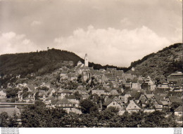 ALLEMAGNE  HORB AM NECKAR - Freudenstadt