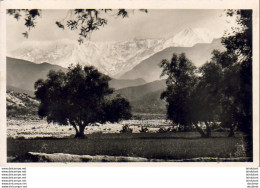 MAROC  MARRAKECH  Vu Sur L' Atlas, Vers Asni   ..... - Marrakesh