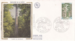 1er Jour, Forêt De Tronçais - 1970-1979