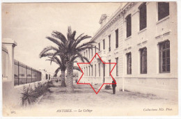 ANTIBES. Le COLLEGE - (Palmiers). - Andere & Zonder Classificatie