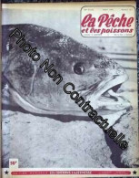 Peche Et Les Poissons (La) N° 167 Du 01/08/1959 - - Non Classés