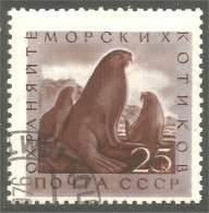 XW01-1551 Russia Morse Walrus Walross Morsa - Other & Unclassified