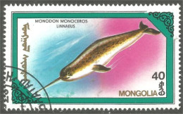 XW01-1555 Mongolia Narval Narwhal Narwal - Other & Unclassified