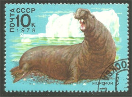 XW01-1549 Russia Sea Elephant Mer Seeelefant - Autres & Non Classés