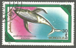 XW01-1557 Mongolia Baleine Whale Wal Ballena - Baleines