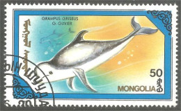XW01-1554 Mongolia Dauphin Gris Grey Dolphin Delfin - Dolfijnen