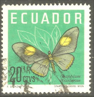 XW01-1510 Ecuador Papillon Butterfly Mariposa Farfala Schmetterling - Mariposas
