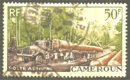 XW01-1489 Cameroun Logging Bucheron Truck Camion Bois Wood Baum Foret Forest - Bomen