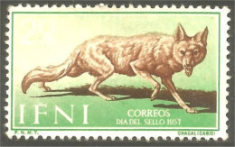 XW01-1509 Ifni Chacal Jackal Schakal Sciacallo No Gum - Dogs