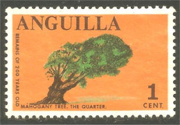 XW01-1464 Anguilla Mahogany Tree Arbre Baum No Gum - Bomen