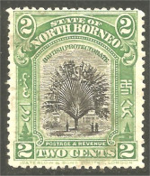 XW01-1448 North Borneo Tree Arbre Baume No Gum - Alberi