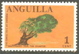 XW01-1432 Anguilla Mahogany Tree Arbre Baum No Gum  - Alberi