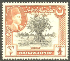 XW01-1414 Bahawalpur Silver Jubilee 1/2 Anna Wheat Blé Agriculture No Gum - Levensmiddelen