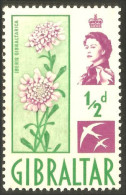 XW01-1383 Gibraltar Fleur Flower Blume Hirondelle Swallow Schlucken Rondine No Gum - Swallows