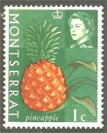 XW01-1377 Montserrat Fruit Frucht Pineapple Ananas Pina No Gum - Montserrat