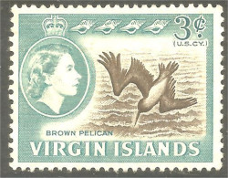 XW01-1381 Virgin Islands Iles Vierges Brown Pelican Pelikan Oiseau Bird Vogel Uccello No Gum - Pellicani