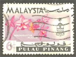 XW01-1352 Malaysia Pulau Pinang Orchidée Orchid Orkid Orchidea Orquidea Spatoglottis Plicata - Maleisië (1964-...)