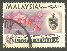 XW01-1350 Malaysia Negeri Sembilan Orchidée Orchid Orkid Orchidea Orquidea Spatoglottis Plicata - Maleisië (1964-...)