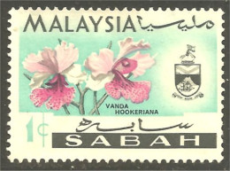 XW01-1344 Malaysia Sabah Orchidée Orchid Orkid Orchidea Orquidea Vanda Hookeriana - Orchideeën