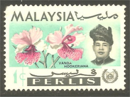 XW01-1339 Malaysia Perlis Orchidée Orchid Orkid Orchidea Orquidea Vanda Hookeriana - Autres & Non Classés