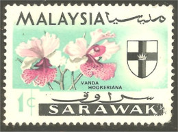 XW01-1346 Malaysia Sarawak Orchidée Orchid Orkid Orchidea Orquidea Vanda Hookeriana - Orchids