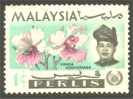 XW01-1337 Malaysia Perlis Orchidée Orchid Orkid Orchidea Orquidea Vanda Hookeriana - Malasia (1964-...)