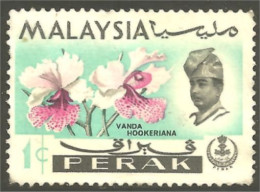 XW01-1336 Malaysia Perak Orchidée Orchid Orkid Orchidea Orquidea Vanda Hookeriana - Malaysia (1964-...)