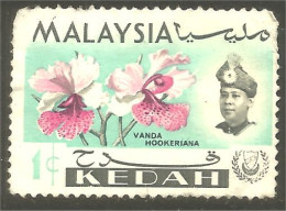XW01-1329 Malaysia Kedah Orchidée Orchid Orkid Orchidea Orquidea Vanda Hookeriana - Maleisië (1964-...)