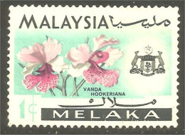 XW01-1331 Malaysia Melaka Orchidée Orchid Orkid Orchidea Orquidea Vanda Hookeriana - Malesia (1964-...)