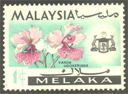 XW01-1332 Malaysia Melaka Orchidée Orchid Orkid Orchidea Orquidea Vanda Hookeriana - Orchidee