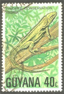 XW01-1273 Guyana Iguane Iguana Reptile - Guyana (1966-...)