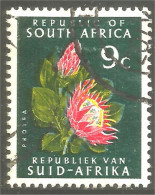 XW01-1265 South Africa Fleur Flower Blume Protea - Usados