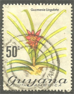 XW01-1271 Guyana 50c Orchidée Orchid Orkid Orchidea Orquidea - Guyana (1966-...)