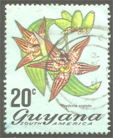 XW01-1269 Guyana 20c Orchidée Orchid Orkid Orchidea Orquidea - Guyane (1966-...)