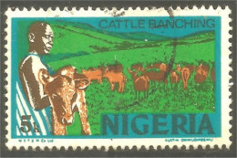 XW01-1248 Nigeria Cattle Ranching Elevage Bétail Vache Cow Kuh Vaca Vacca Koe - Nigeria (1961-...)