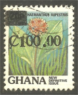XW01-1233 Ghana Fleur Flower Blume Plant Plante Pflanz - Autres & Non Classés