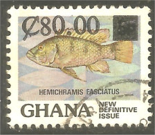 XW01-1236 Ghana Poisson Fish Fisch Pescado Peixe Vis Alimentation Food - Fishes